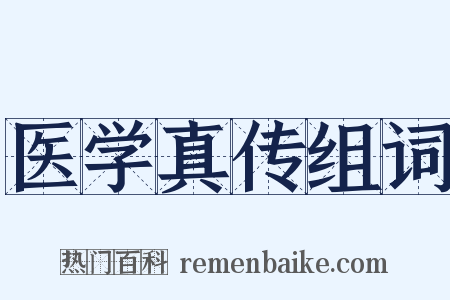 医学真传组词是什么意思的图片